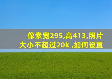 像素宽295,高413,照片大小不超过20k ,如何设置